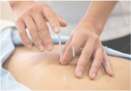 「鍼灸院セラピア」を<br />
新設しました。